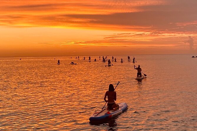 Paddle Surfing in Barcelona - Getting ready with board, paddle, and basic instruction