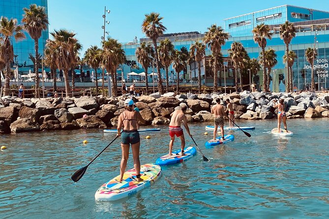 Paddle Surfing in Barcelona - Should you book Paddle Surfing in Barcelona?