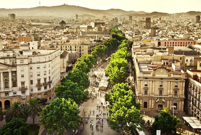 Paella Class & Bottomless Wine: Las Ramblas Views - Key points to know before you book