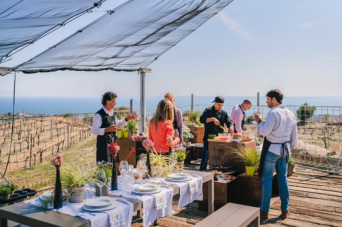 Paella Cooking Experience & Winery Tour from Barcelona - Who will get the most from this outing