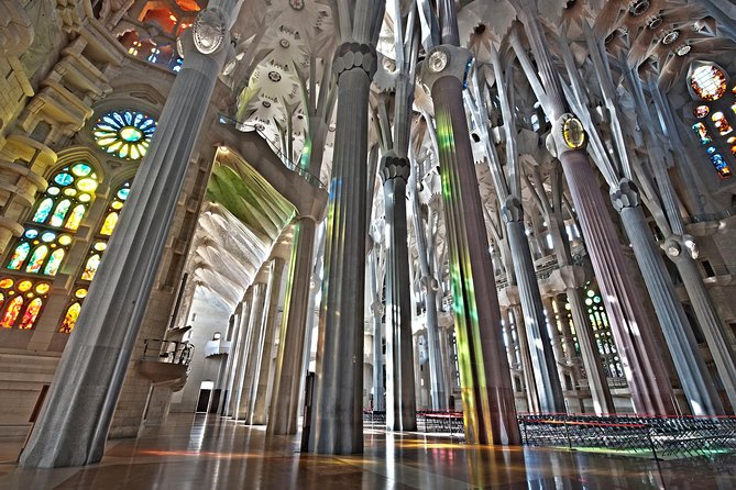 Park Guell and Sagrada Familia Private Tour with Hotel pick-up - Park Güell above Gràcia