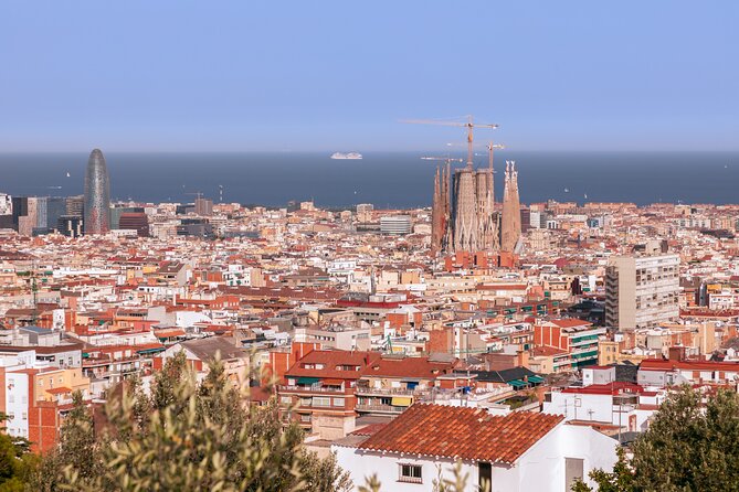 Park Guell Guided Group Tour with Optional Sagrada Familia - The viaducts: Gaudí turns stone into nature