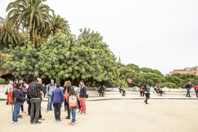 Park Guell Guided Tour with Skip the line Ticket - Walking Conditions and the Best Way to Prepare