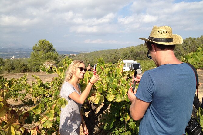 Penedes and Cava Winery Small Group Tour - From Barcelona streets to Penedes vineyards