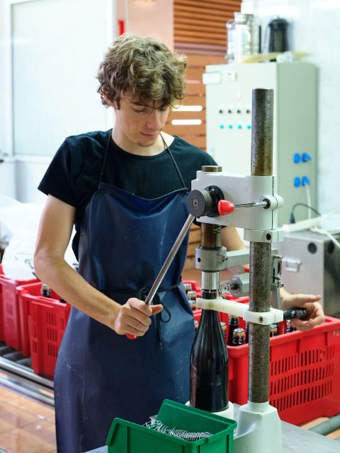 Penedès Vine to Wine: Personalized Cava taste&craft Workshop - Who Will Get the Most From This Visit?