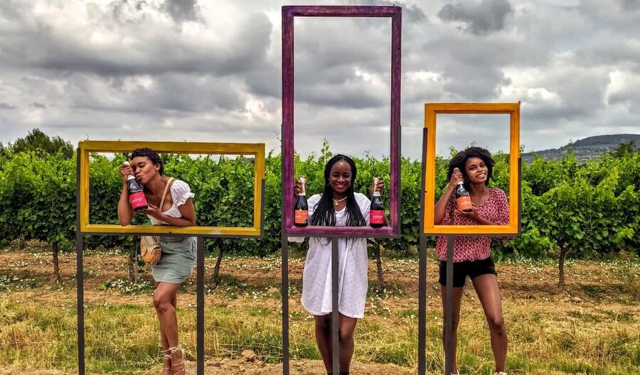 Penedès Vine to Wine: Personalized Cava taste&craft Workshop - Why This Cava Workshop Feels Different