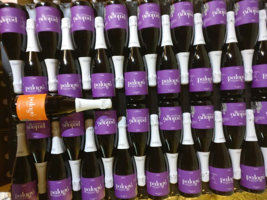 Penedès Vine to Wine: Personalized Cava taste&craft Workshop - Is the $68 Price Good Value?