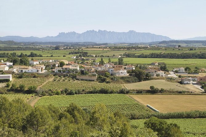 Penedes Wine & Cava Tasting & 4WD Vineyards Tour from Barcelona - Key points to know before booking