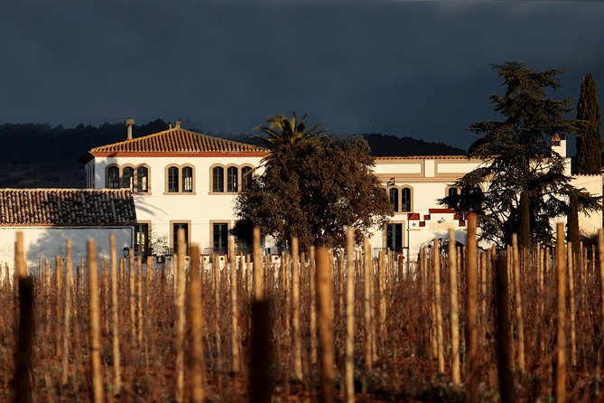 Penedes Wine & Cava Tasting & 4WD Vineyards Tour from Barcelona - What the guides add to the day