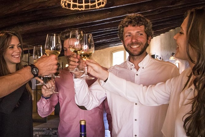 Penedes Wine & Cava Tasting & 4WD Vineyards Tour from Barcelona - The first winery: vineyards, vines, and three wines