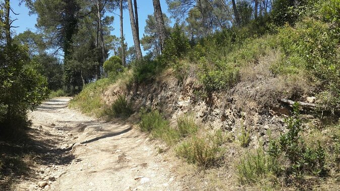 Photography route through the secret nature of Barcelona - Why this route changes the way you see Barcelona
