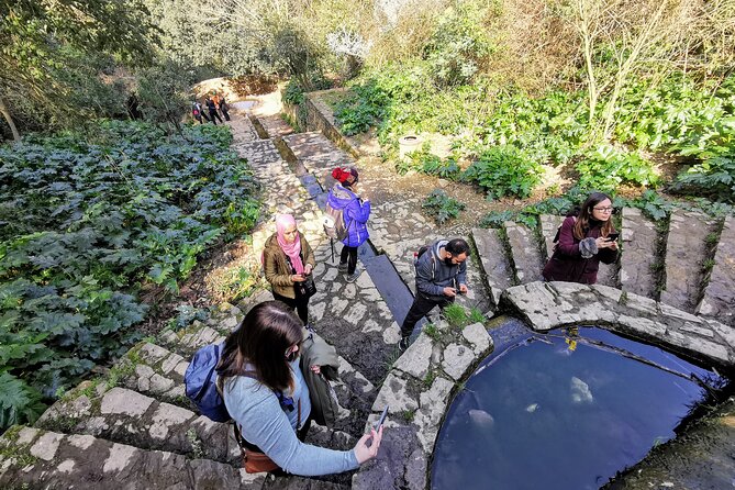 Photography route through the secret nature of Barcelona - What you receive for $30.04