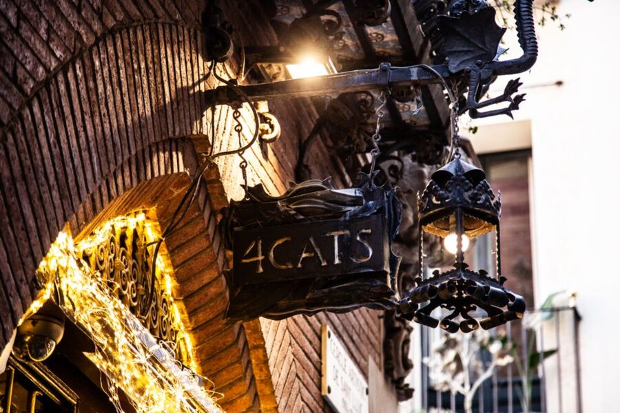 Picasso Museum and Walking Tour Plus Wine Tasting Upgrade - Carrer d’Avinyó 44 and Picasso’s most symbolic painting