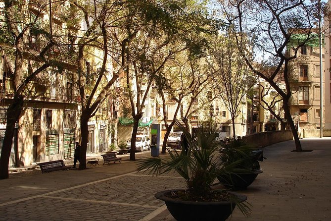 Picasso Museum & Private Walking Tour of Born or Gothic Quarter - Starting on Carrer de Montcada