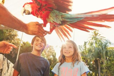 PortAventura Park Day Trip from Barcelona