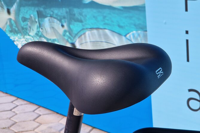 Premium Bike Rental in Barcelona - Choosing between the e-moon 28 and Elops 540