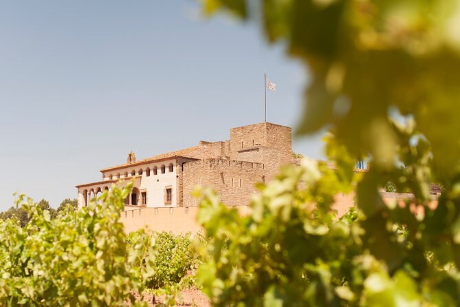 Premium Montserrat & Wine Full Day Tour from Barcelona - Why this Barcelona day trip works so well