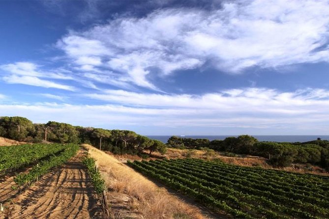 Private Breakfast Winery Experience - Private Wine Tasting Tour - Key Points at a Glance