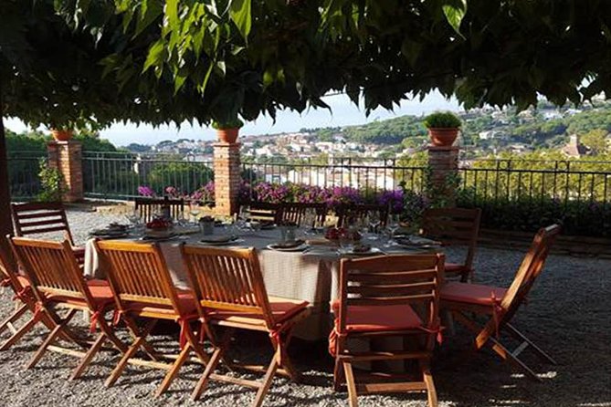 Private Breakfast Winery Experience - Private Wine Tasting Tour - The 8:30 am Start and Ride from Barcelona