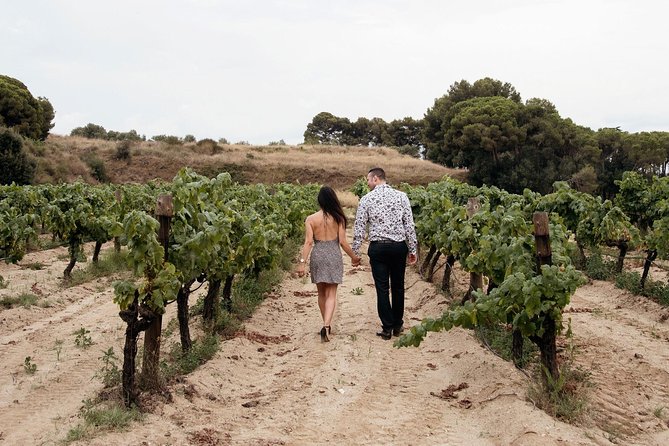 Private Breakfast Winery Experience - Private Wine Tasting Tour - Tasting Five Organic Wines