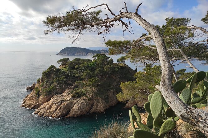 Private Costa Brava Hike and Snorkel from Barcelona with Lunch - Who will enjoy this coastal day most?
