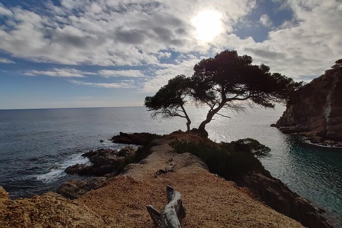 Private Costa Brava Kayak Experience with Snorkel from Barcelona - From Barcelona to the Costa Brava in an hour