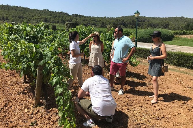 Private Day Trip from Barcelona to Montserrat - How Much Value Do You Get for $473.17?