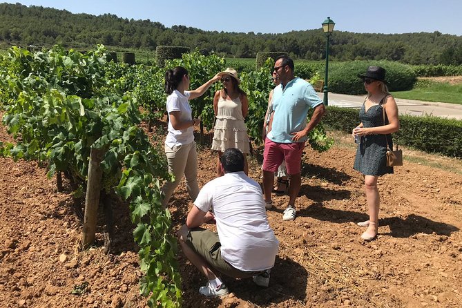 Private Day Trip from Barcelona to Montserrat - Who Should Book This Experience?