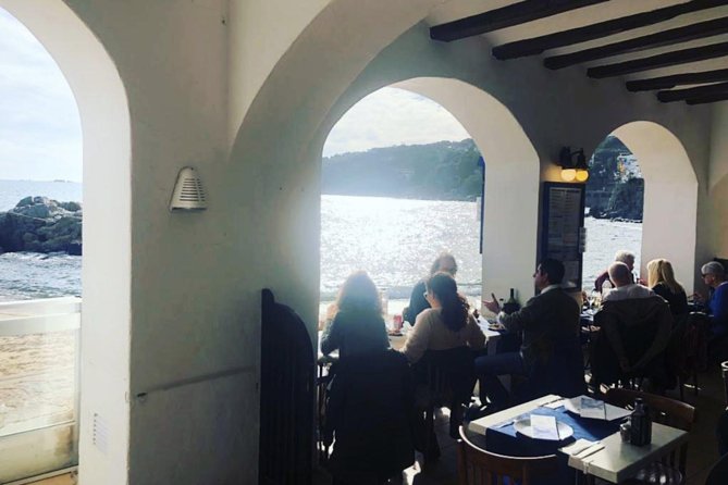 Private Girona Tour Costa Brava & Lunch Experience from Barcelona - The Drive to Calella de Palafrugell