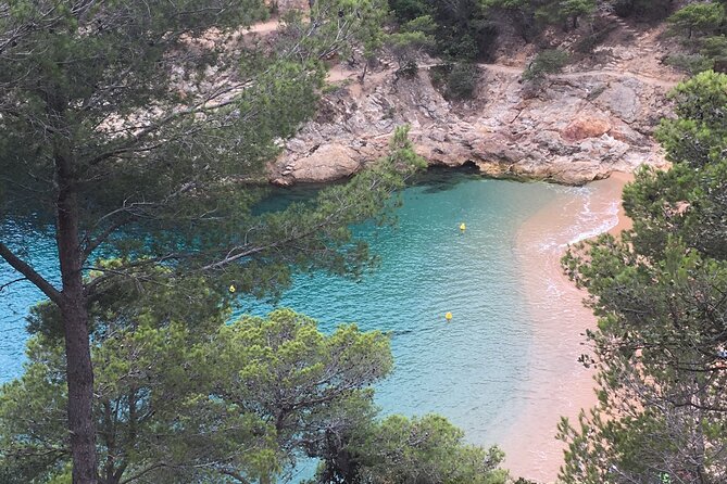 Private Half Day Tour in Monserrat with Driver - Why Montserrat works so well as a half-day escape