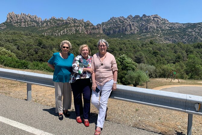 Private Half Day Tour in Monserrat with Driver - What the driver does well