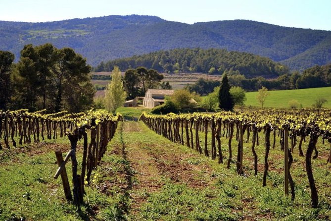 Private Montserrat Tour, Wine Taste & Local Lunch from Barcelona - A three-course Penedès lunch with Cava