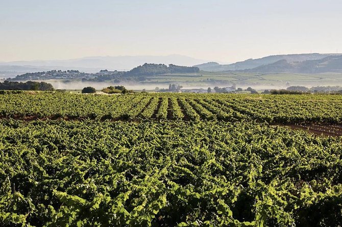 Private Montserrat Tour, Wine Taste & Local Lunch from Barcelona - What the private format is worth