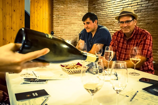 Private Montserrat with Wine Tasting Full Day Trip from Barcelona - Transport, comfort, and the long-day tradeoff