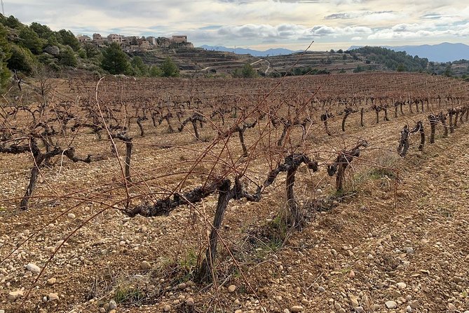 Private Priorat Tour with Wine Tastings & Lunch from Barcelona - What the long drive means for your day