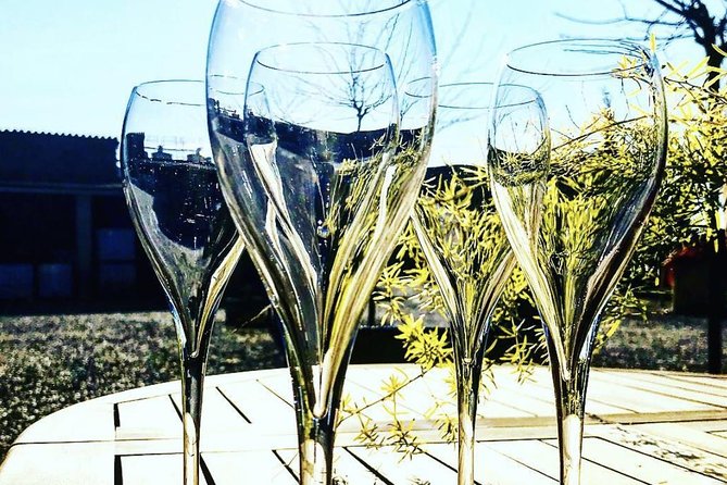 Private Tour: Top Three Organic Wineries & Local Lunch Included - Why the Penedès makes a good day trip from Barcelona