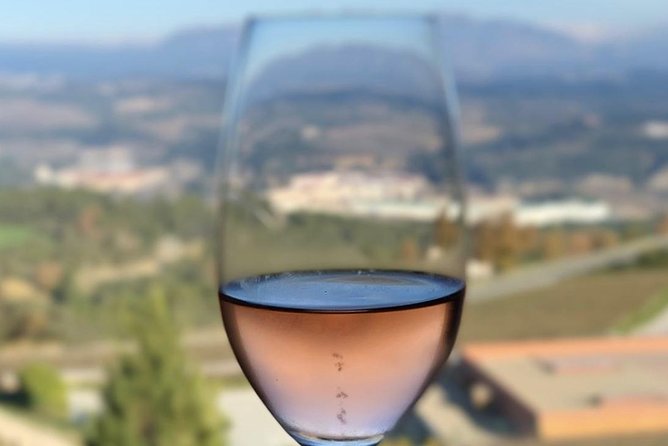 Private Tour: Top Three Organic Wineries & Local Lunch Included - Who will enjoy this day most