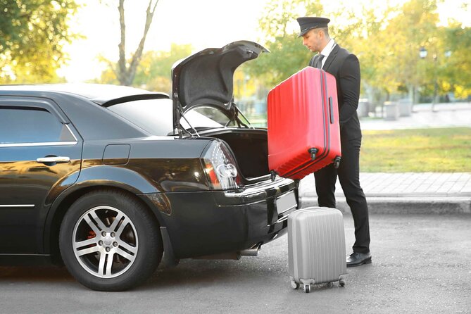 Private Transfer from Barcelona hotels to Barcelona Cruise Port - Vehicle choices for couples, families, and groups