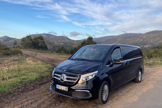 Private Transportation from Granada City to Malaga Airport - What Makes This Transfer Worth Considering