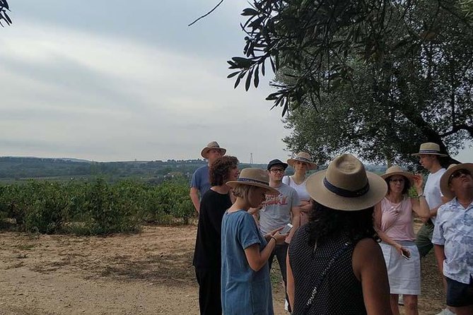 Private Wine & Cava Tasting Tour In Penedes with hotel pick up - Why Penedès makes a good Barcelona day trip