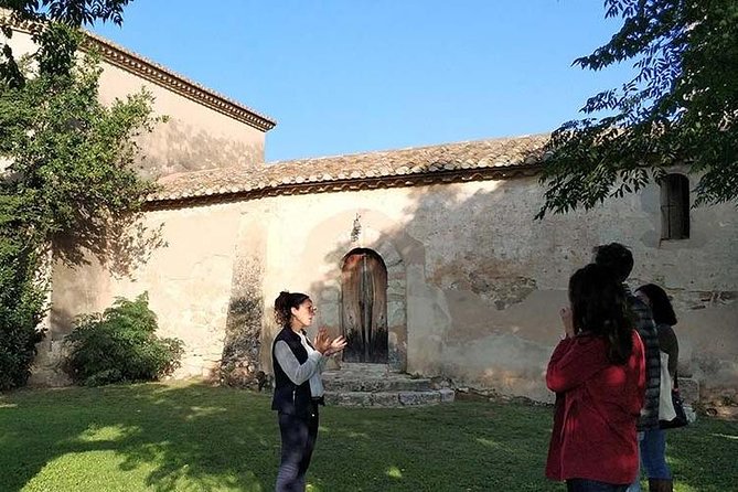 Private Wine & Cava Tasting Tour In Penedes with hotel pick up - What the food adds to the tasting