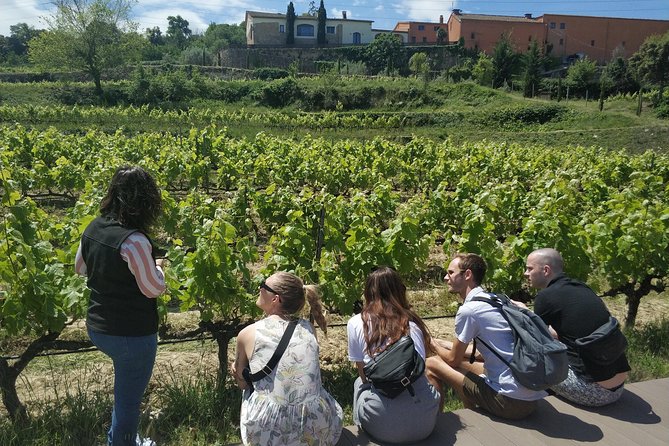 Private Wine & Cava Tasting Tour In Penedes with hotel pick up - How private is the experience?