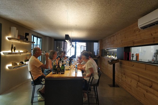 Private Wine & Cava Tasting Tour In Penedes with hotel pick up - Who will enjoy this Penedès tour most?