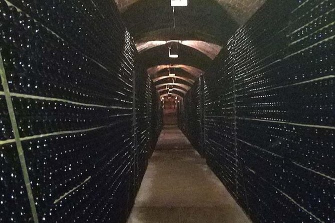 Private Wine & Cava Tasting Tour In Penedes with hotel pick up - Price, timing, and cancellation details