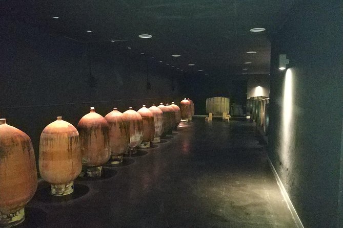 Private Wine & Cava Tasting Tour In Penedes with hotel pick up - Avinyonet del Penedès and the first four wines