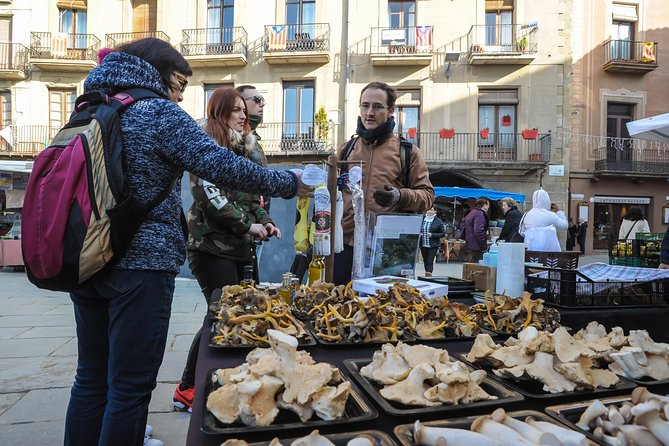 Pyrenees & Medieval Towns Small Group Tour from Barcelona - What the small group and minivan change