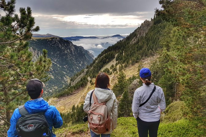Pyrenees Mountain Train and Nature Walk - The Cremallera train makes the return easier
