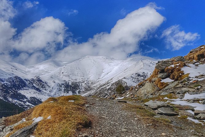 Pyrenees Mountain Train and Nature Walk - Who should book this hike
