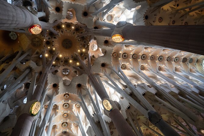 Sagrada Familia and Guell Park Private Tour - What the guides add to the experience