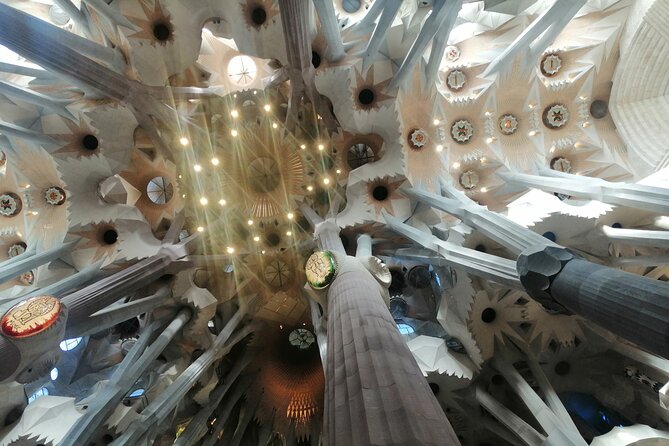 Sagrada Familia and Park Guell Guided Tour with Transport - Inside Gaudí’s forest of columns